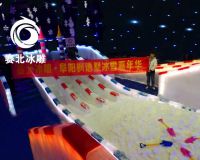 阜阳枫语墅冰雕展「赛北冰雕」
