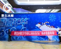 瑞安吾悦广场冰雕节「赛北冰雕」