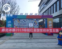 阜阳红星国御府冰雕节「赛北冰雕」