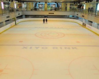 吉林辽源市南部新城滑冰馆工程项目「赛北冰雕」