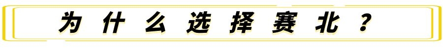室内冰雕制作