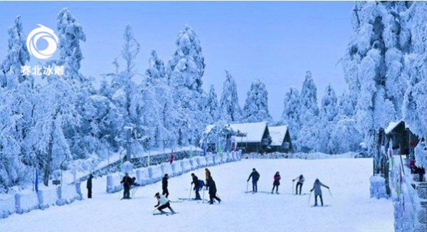 滑雪场建设成本