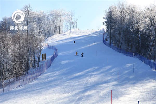 室外滑雪场建设公司