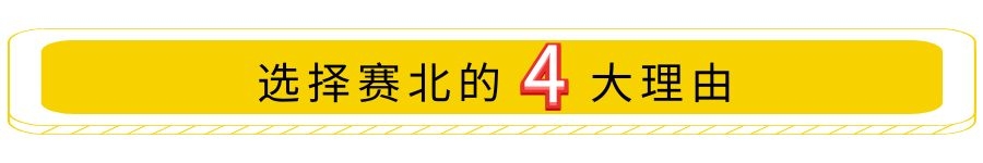 专业冰雕制作