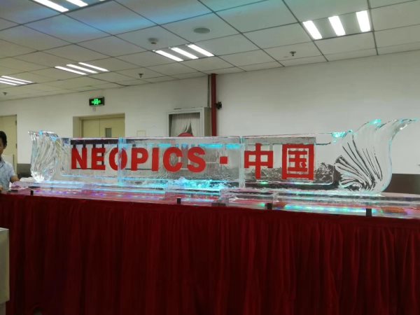 冰雕公司庆典