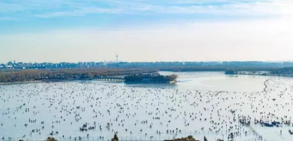 北京滑冰场